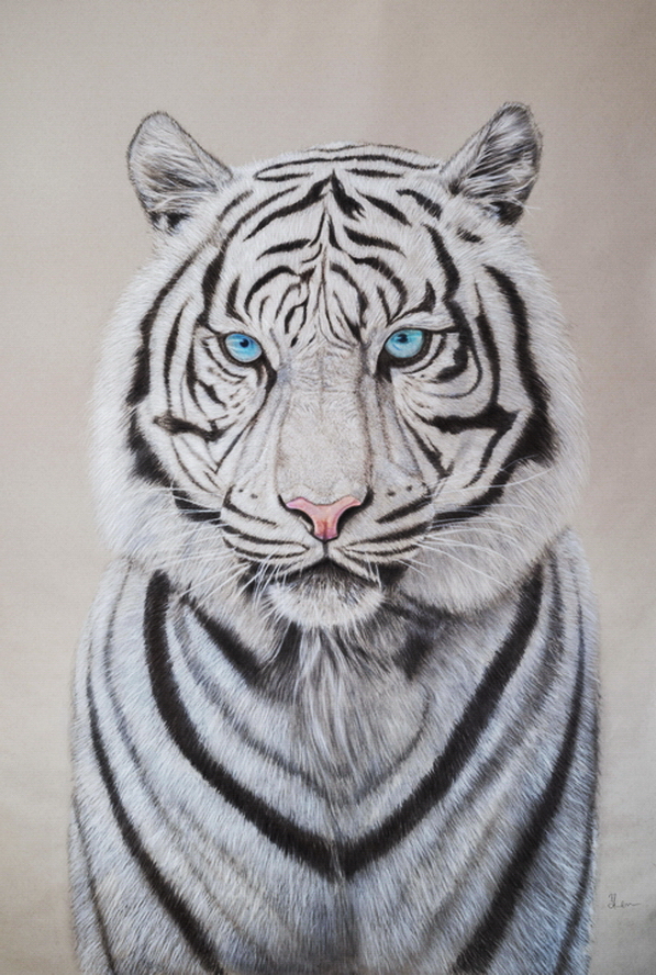 Tigger the Grea8   Charcoal and Color Pencil (42in X 60in)